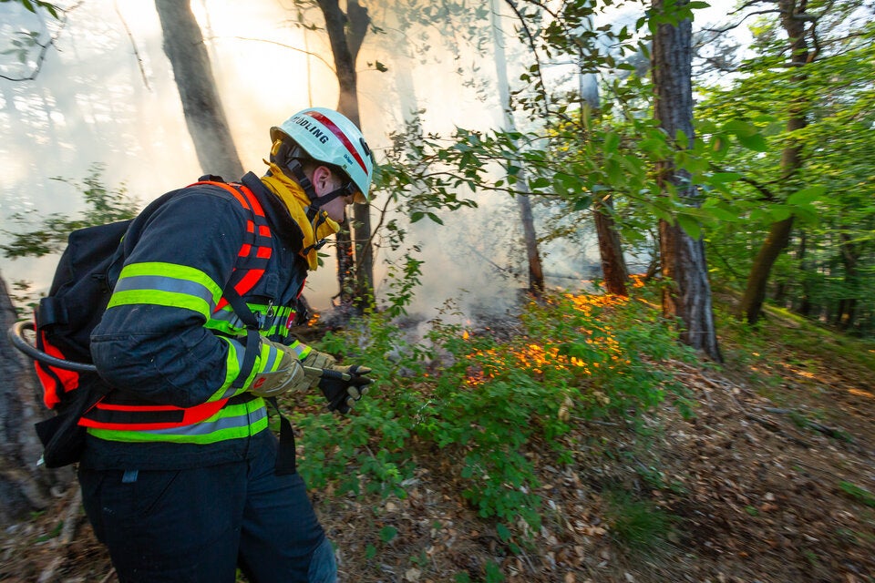 Waldbrand in Mödling: Feuerwehr im Einsatz