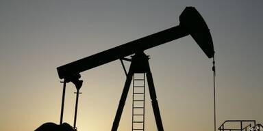 OPEC will vorsichtig agieren
