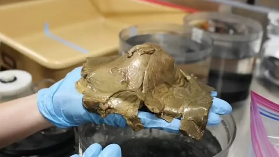 NOAA OCEAN EXPLORATION