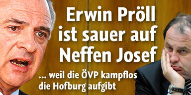 Hofburgwahl: Aufstand
in der ÖVP