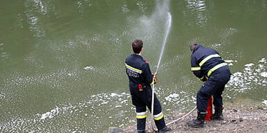 &Ouml;l-Alarm in der Donau bei Tulln