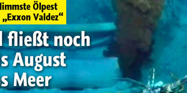 Öl fließt noch monatelang ins Meer