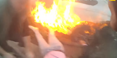 Las Vegas Metropolitan Police