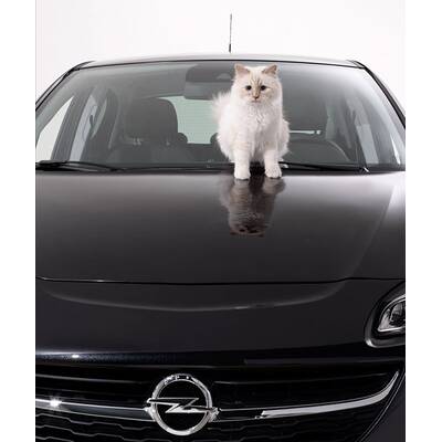 Choupette Lagerfeld im Opel Corsa Fotokalender 2015