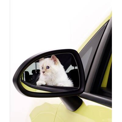 Choupette Lagerfeld im Opel Corsa Fotokalender 2015