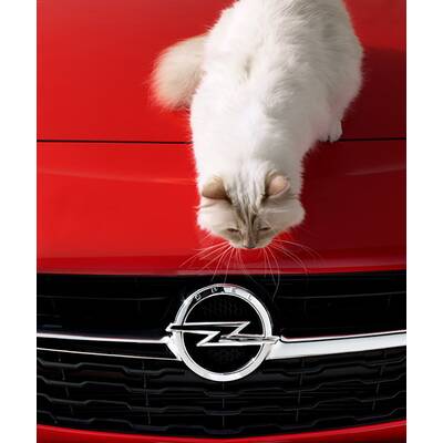 Choupette Lagerfeld im Opel Corsa Fotokalender 2015