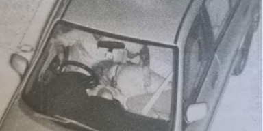 Oralsex w&auml;hrend Fahrt