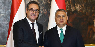 Orban Strache