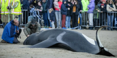 NICOLAS MAETERLINCK / BELGA / AFP