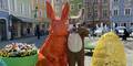 Osterhase in Schärding