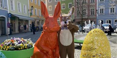 Osterhase in Sch&auml;rding