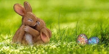 Oster - Hasen, Wiese - Bildvariante 1