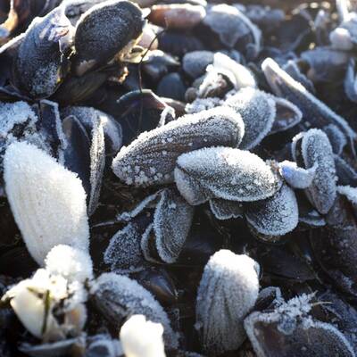 Minus 10 Grad Kälte