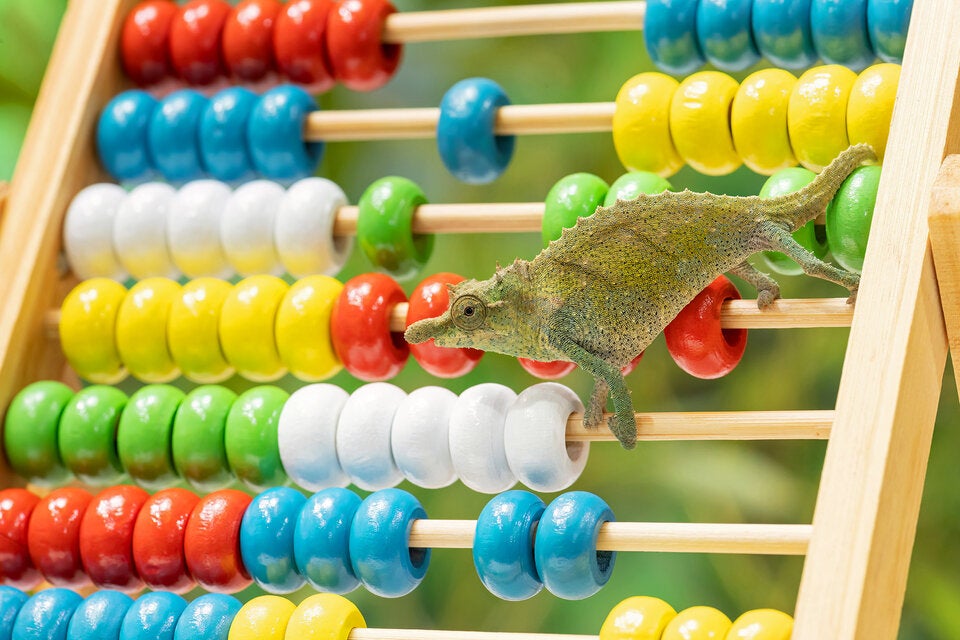 7.749 Tiere leben im Schönbrunner Zoo