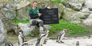 7.749 Tiere leben im Sch&ouml;nbrunner Zoo