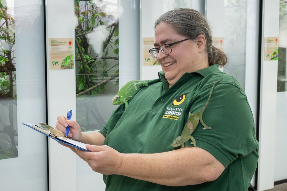So viele Tiere leben aktuell im ältesten Zoo der Welt