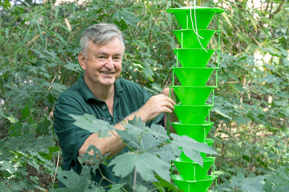 450 Käferarten: Das große Krabbeln im Tiergarten Schönbrunn