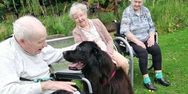 Eine Seele von Hund: Topas.