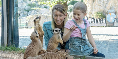 Umfrage: So beliebt sind Zoos in &Ouml;sterreich