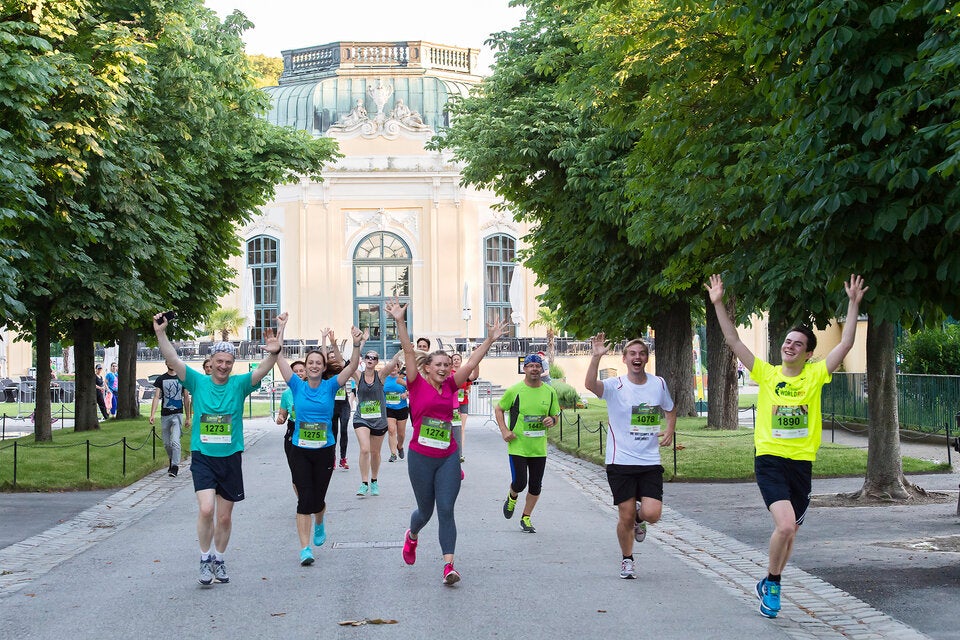 Zwischen Elefanten und Wölfen: Der Wiener Zoolauf ist zurück!