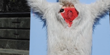 PETA tierversuche 1.PNG