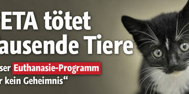 Tierschutzgruppe PETA tötet Tausende Tiere