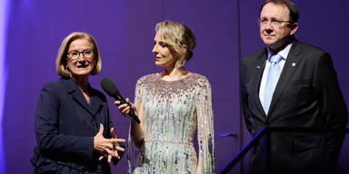 So festlich startete das offizielle Nieder&ouml;sterreich ins neue Jahr