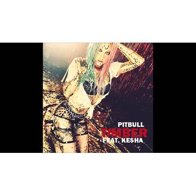 Zedd feat. Haley Williams: Stay The Night