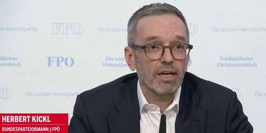 Machtk&auml;mpfe und ein Richtungsstreit in der FP&Ouml;