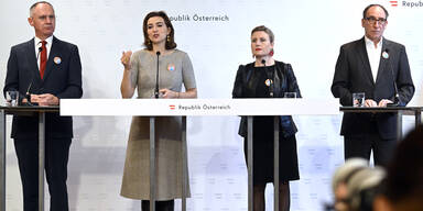 Regierung will Gewaltambulanzen einf&uuml;hren