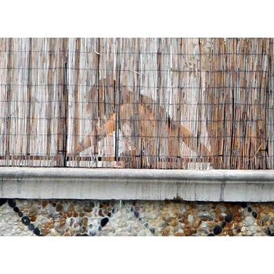 Iker Casillas & Sara Carbonero: Verliebt in Miami