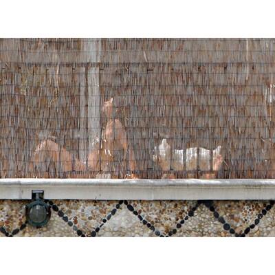 Iker Casillas & Sara Carbonero: Verliebt in Miami