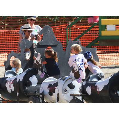 Klum, Alba, Berry & Co.:Stars beim Kürbisfest