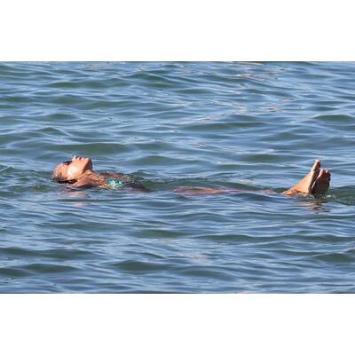 Sylvie van der Vaart urlaubt in Saint Tropez