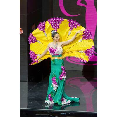 Miss Universe Kostümparade 2013