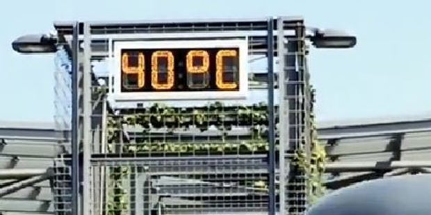 Tropen-Nacht in Österreich