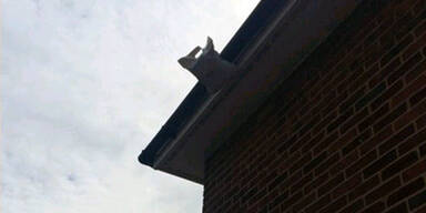 Zusteller hinterl&auml;sst Paket ... auf dem Dach