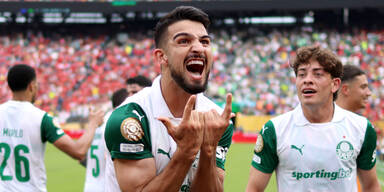 Palmeiras