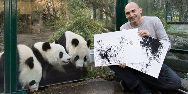 Malt Panda-Bärin hier Tiere?