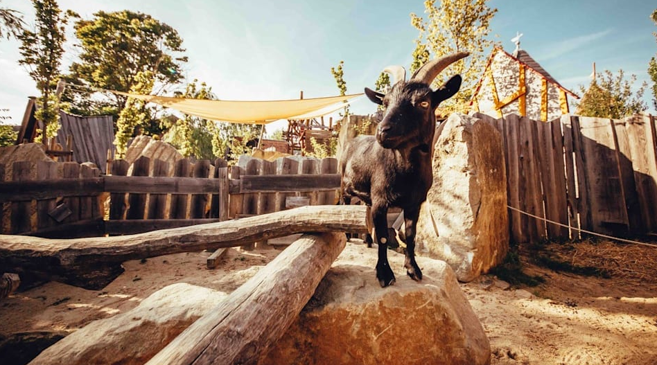 SÄCHSISCHE GRUNDSTÜCKSAUKTIONEN AG