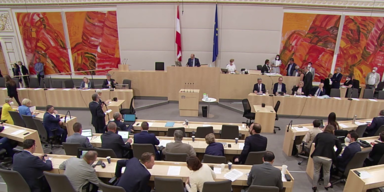 Parlament So viel wird geschimpft.png