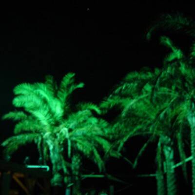 Die schönsten Urlaubsfotos