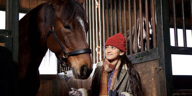 Das Pferd auf dem Balkon sorgt für Wunder