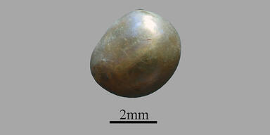 &Auml;lteste Perle der Welt gefunden