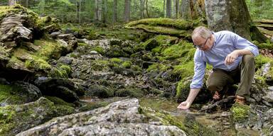 Gr&ouml;&szlig;ere Gew&auml;sser: N&Ouml; f&uuml;r Feuchtbiotope
