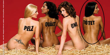 Keiner nahm Internet-Warnungen ernst