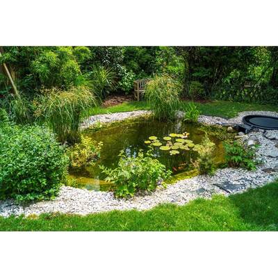 Peter Alexander: Villa wird verkauft