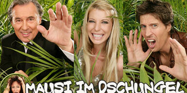 Regeln & Alltag: So läuft's im RTL-Dschungel