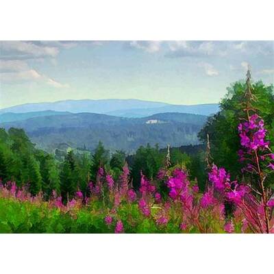 Die neuesten Urlaubsfotos