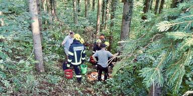 Pferd st&uuml;rzte B&ouml;schung hinunter